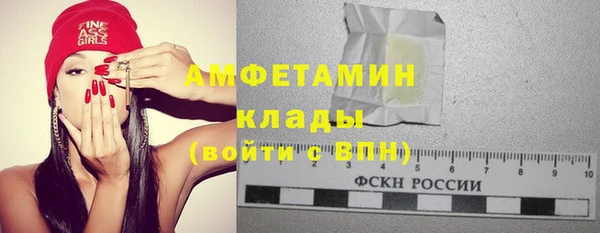 прущие грибы Россошь