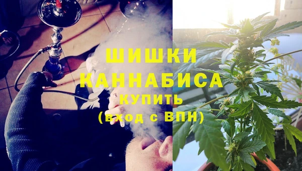 дмт Аркадак