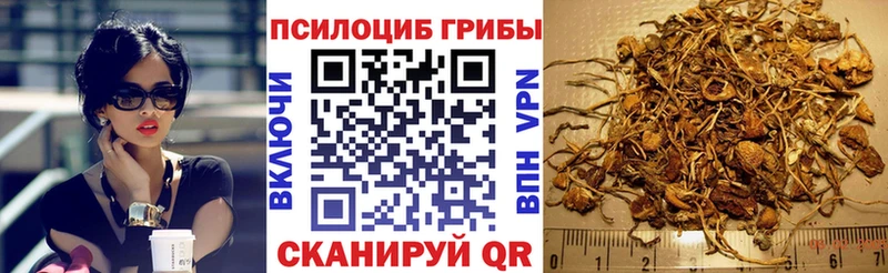 Галлюциногенные грибы Psilocybine cubensis Гремячинск